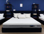Modern bedroom with a Andazi hybrid mattress, white bedding, and blue walls