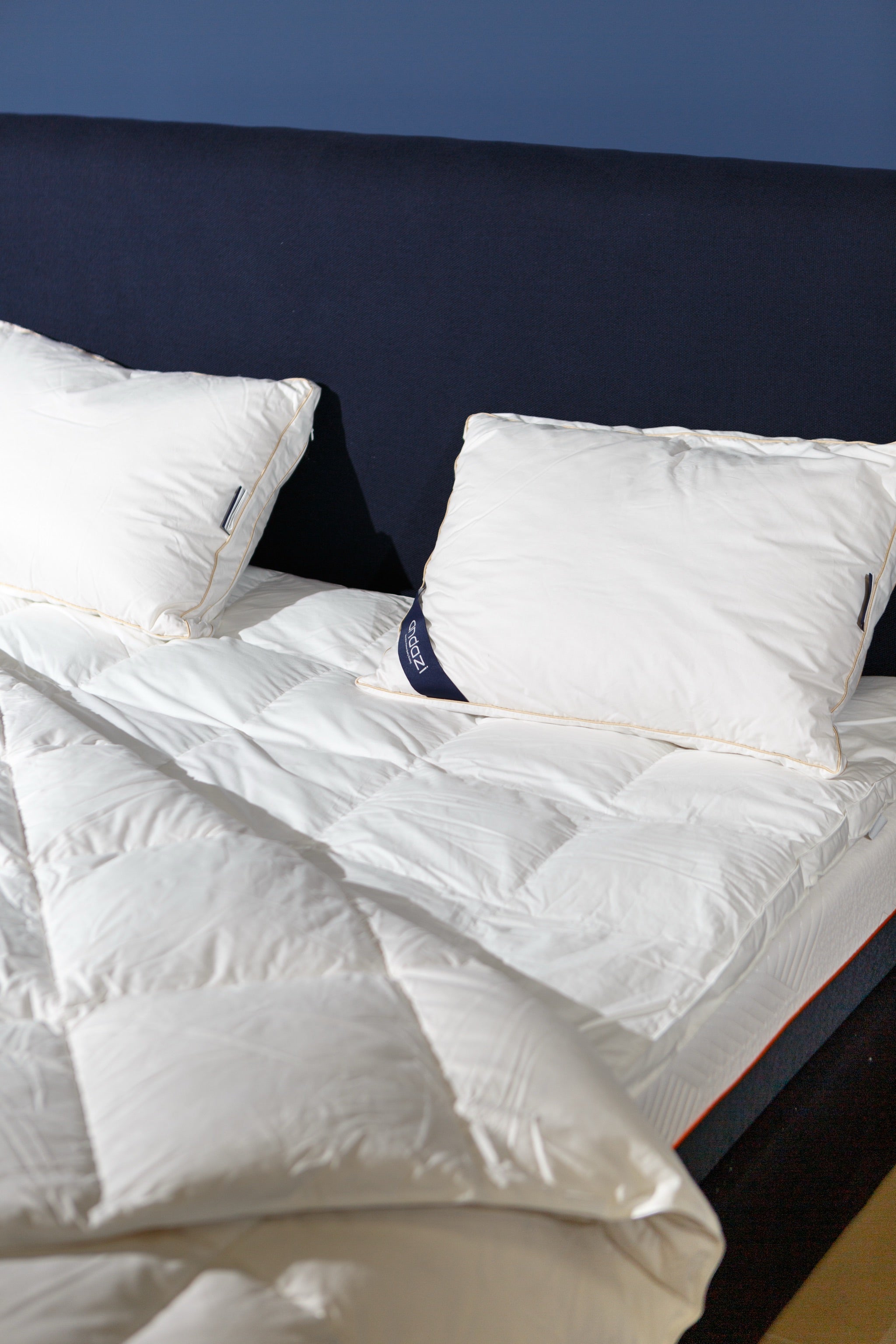 Down Pillow with Visco Core