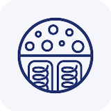 premium mattress icon with foam layer and springs illustration